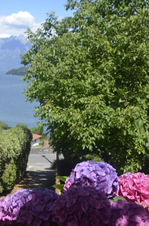 Anma Cottages The Secret Garden Pianello Del Lario Eksteriør bilde