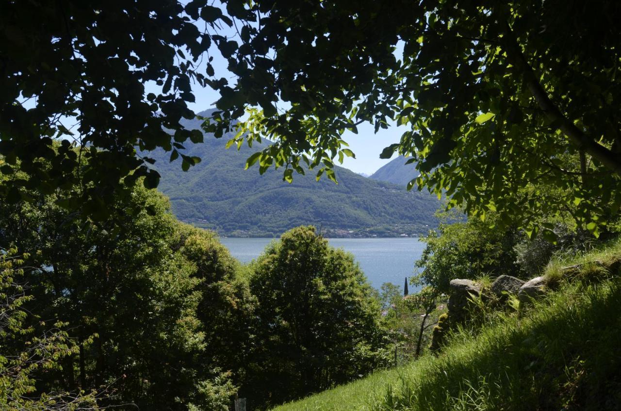 Anma Cottages The Secret Garden Pianello Del Lario Eksteriør bilde